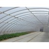 河北溫室大棚施工，春秋用大棚建造，自動化溫室大棚施工【快速get】華亮